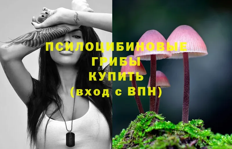 как найти закладки  Барабинск  Галлюциногенные грибы Psilocybe 